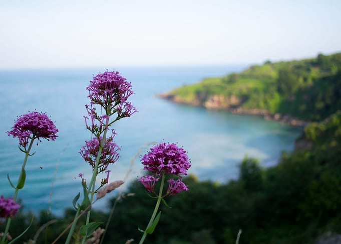 St Marys Bay