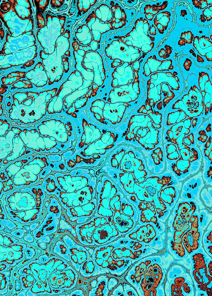 Turquoise Gem Texture 13