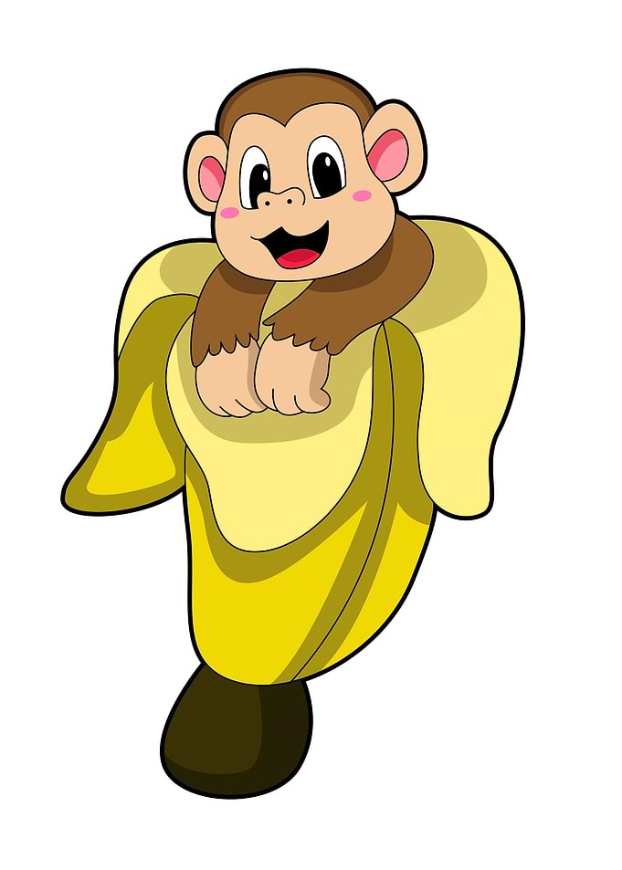 Monkey Fruit Banana peel