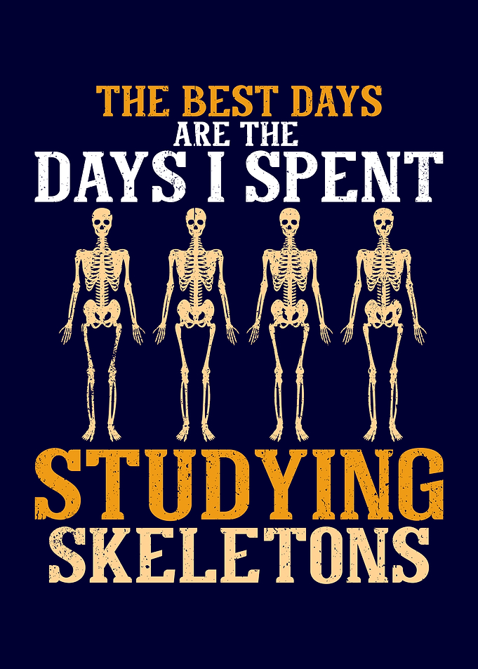 Anthropology Skeletons