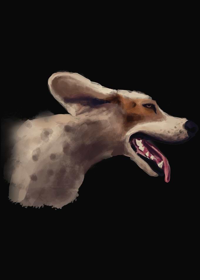 Dog Dogs Puppy Dog Doggy