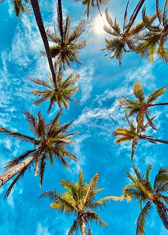 Summer Sky