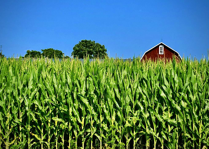 Family Farm