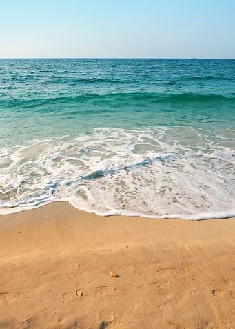 Seashore