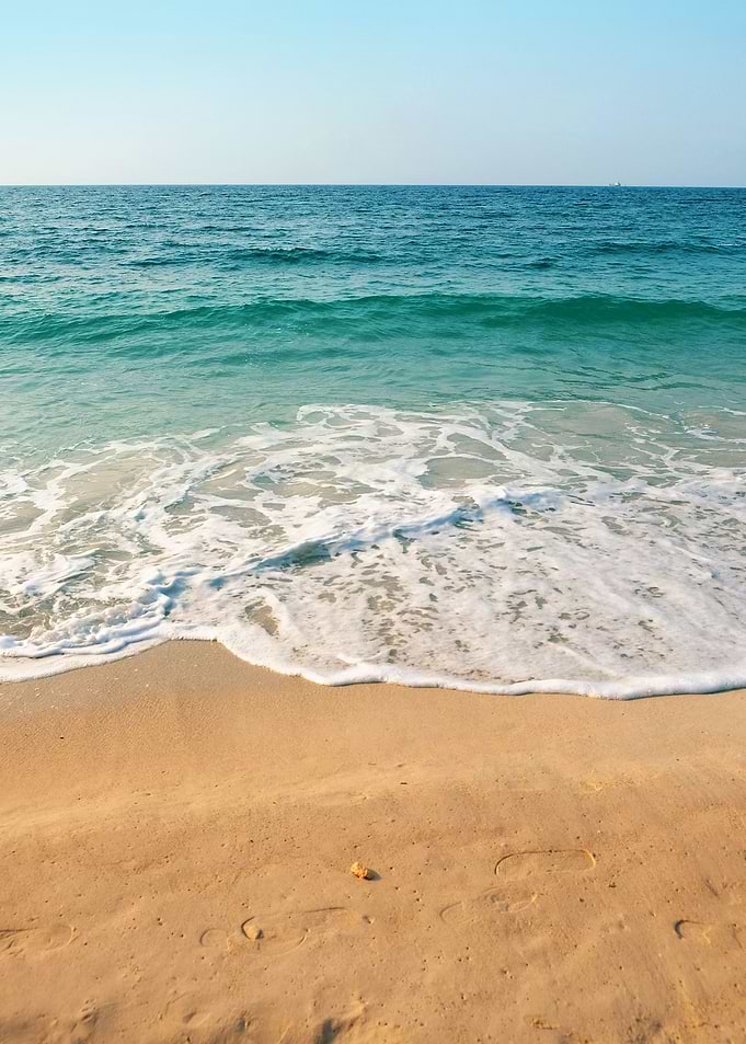 Seashore