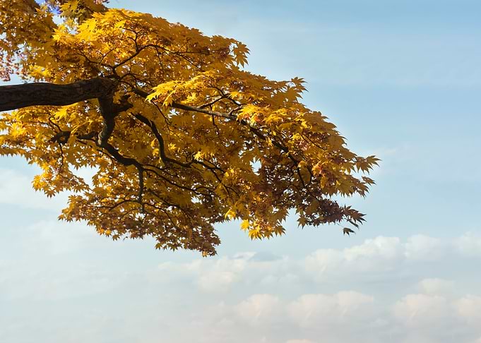 The look of autumn