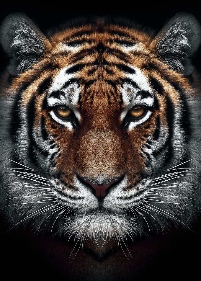 epic tiger king face