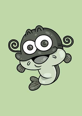 Catfish