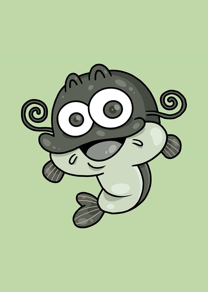 Catfish