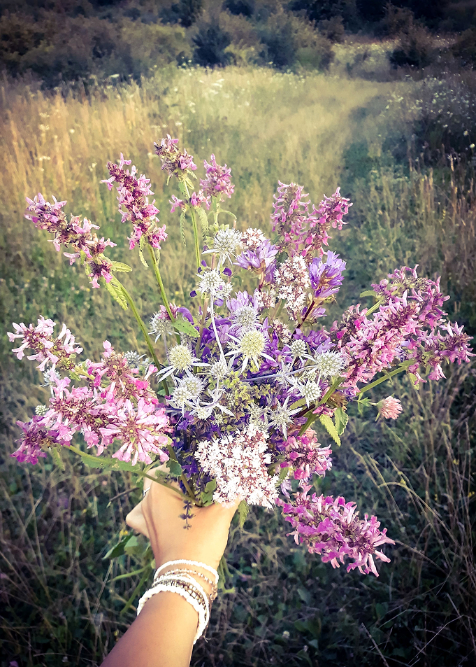 Purple flowers bouquet