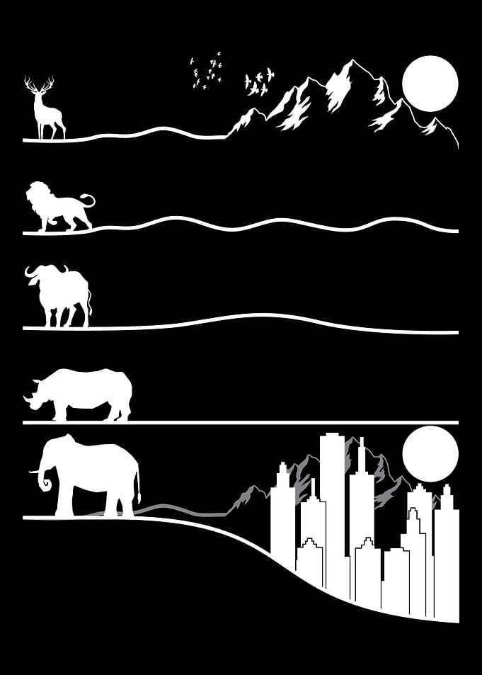 Save Wildlife