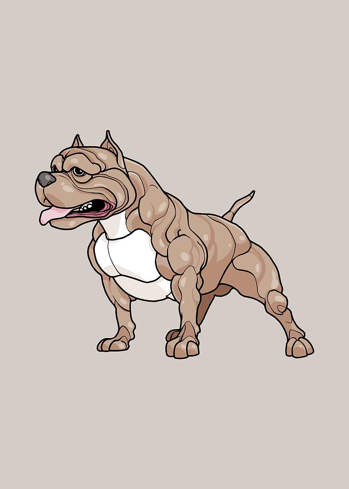 Pitbull