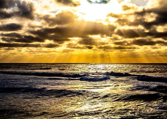 Golden Shine