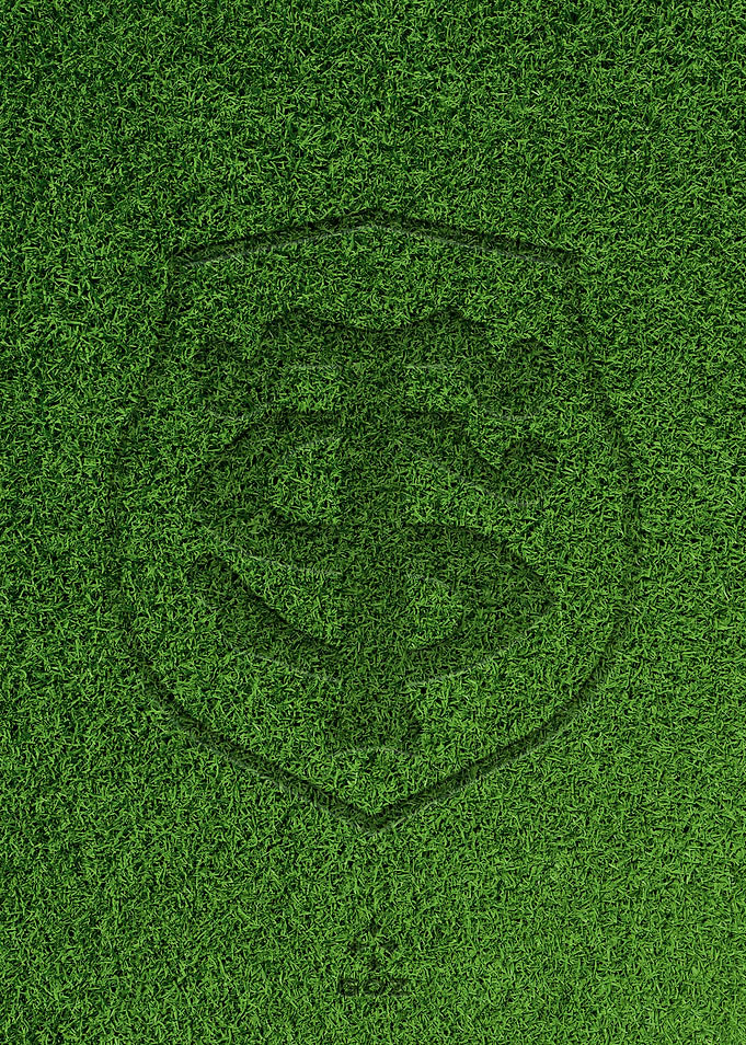 logo Stade Toulousain