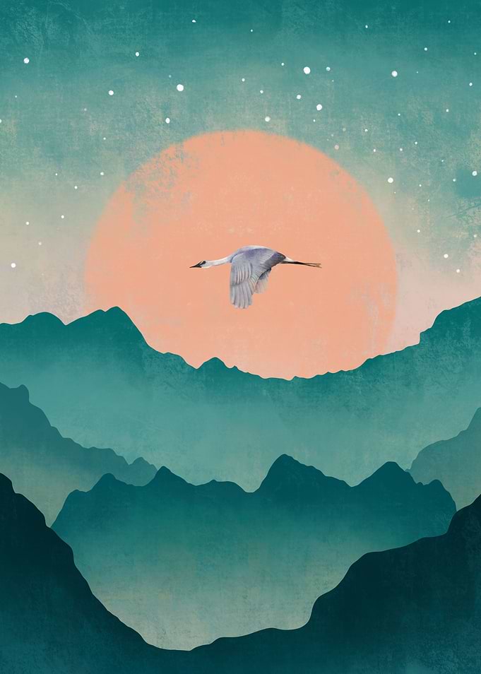 Fly high