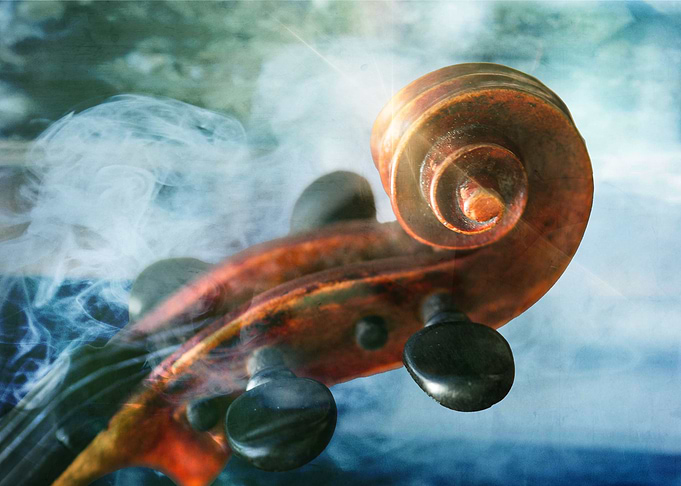 Violin 5