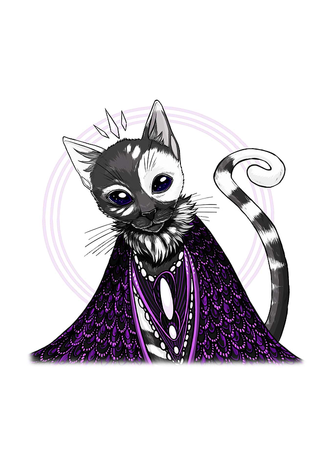 dark cat