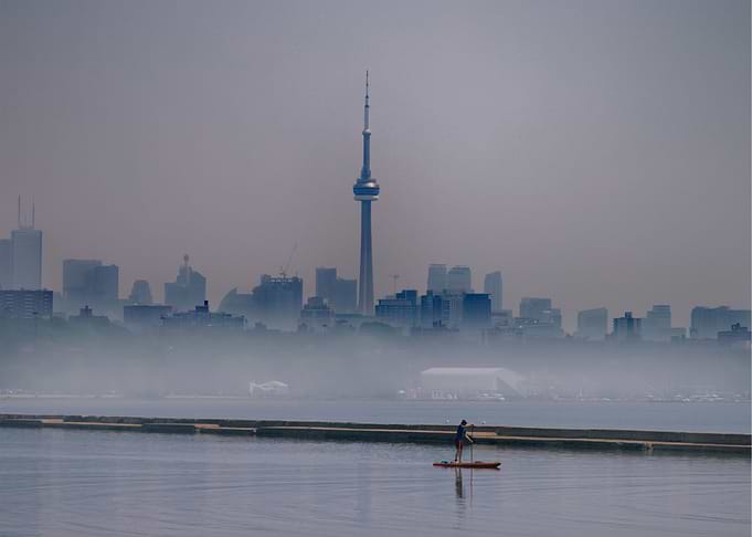 Lost in the Mist
