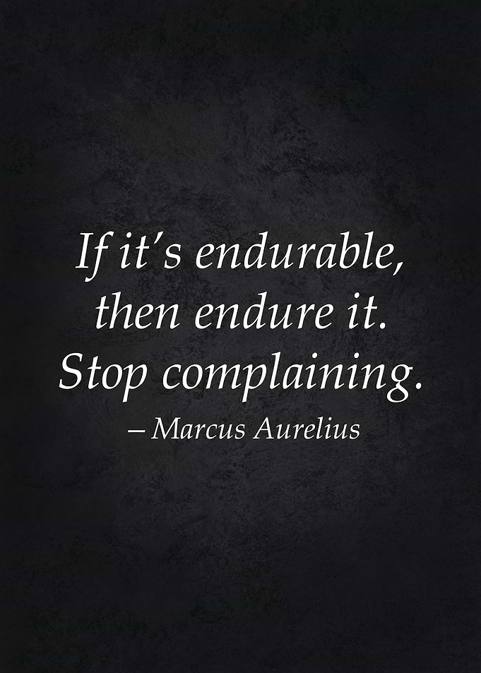 Endure Stoic Quote