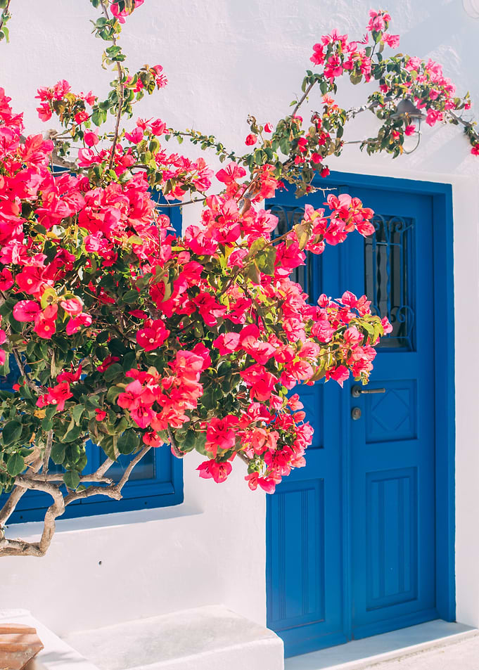 Flowers and Blue Door