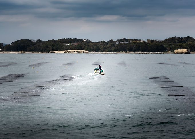 Returning fishermen