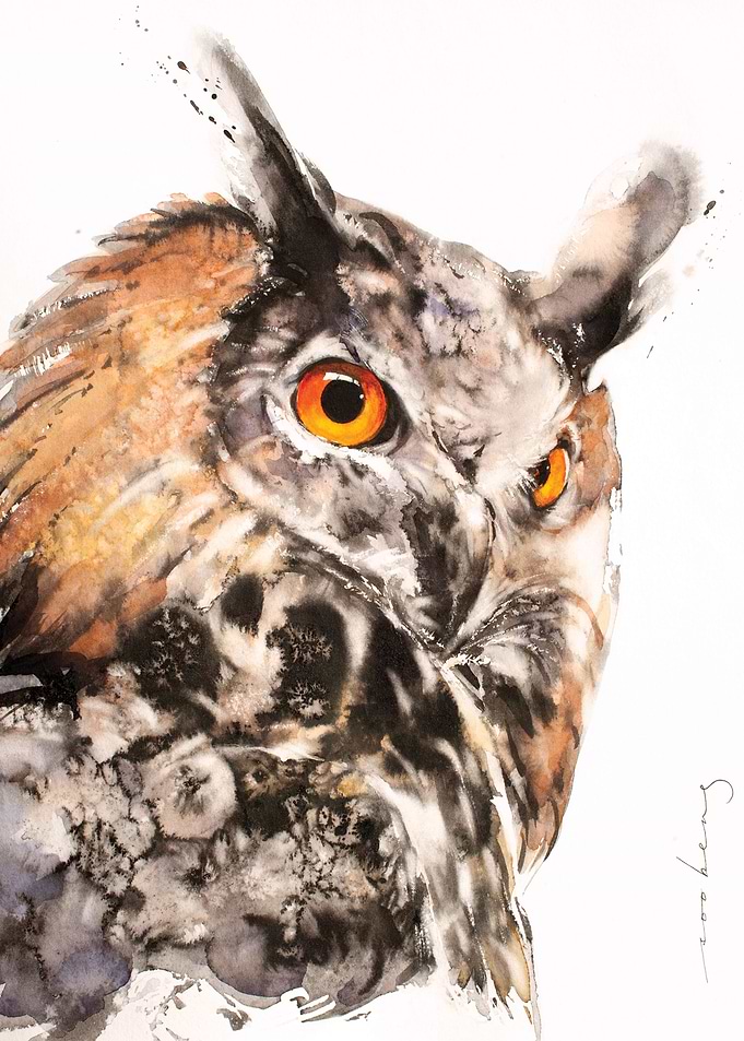 Hello Owl