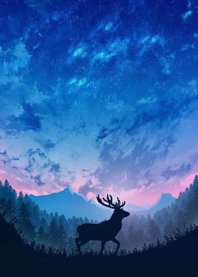 deer in the morning