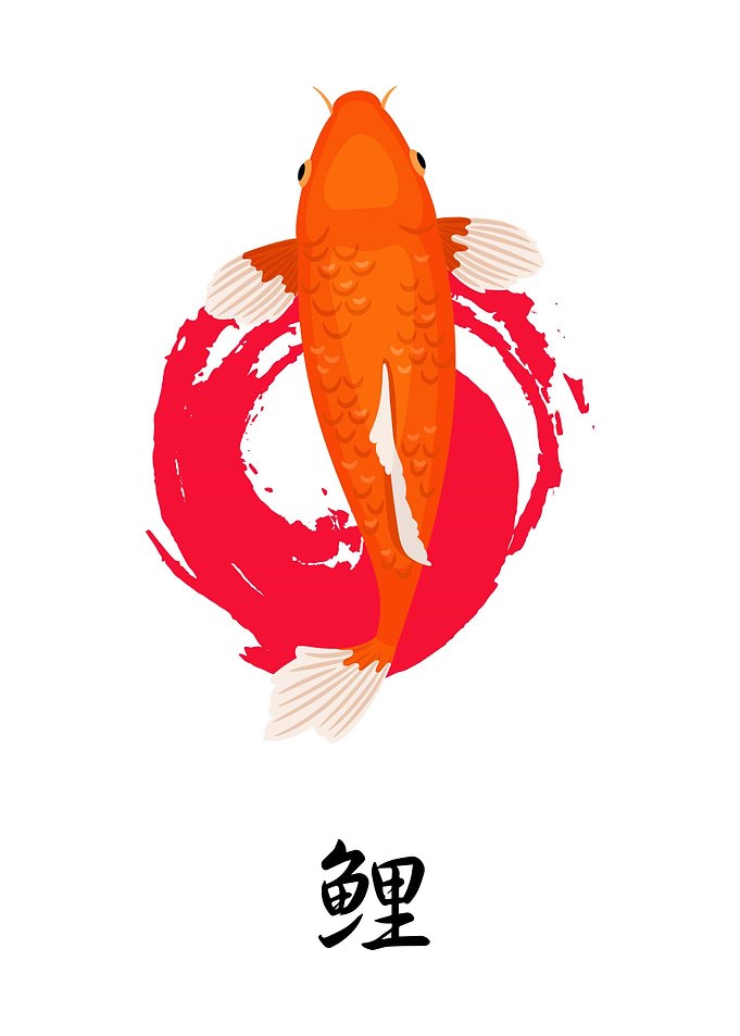 Orange Koi Fish