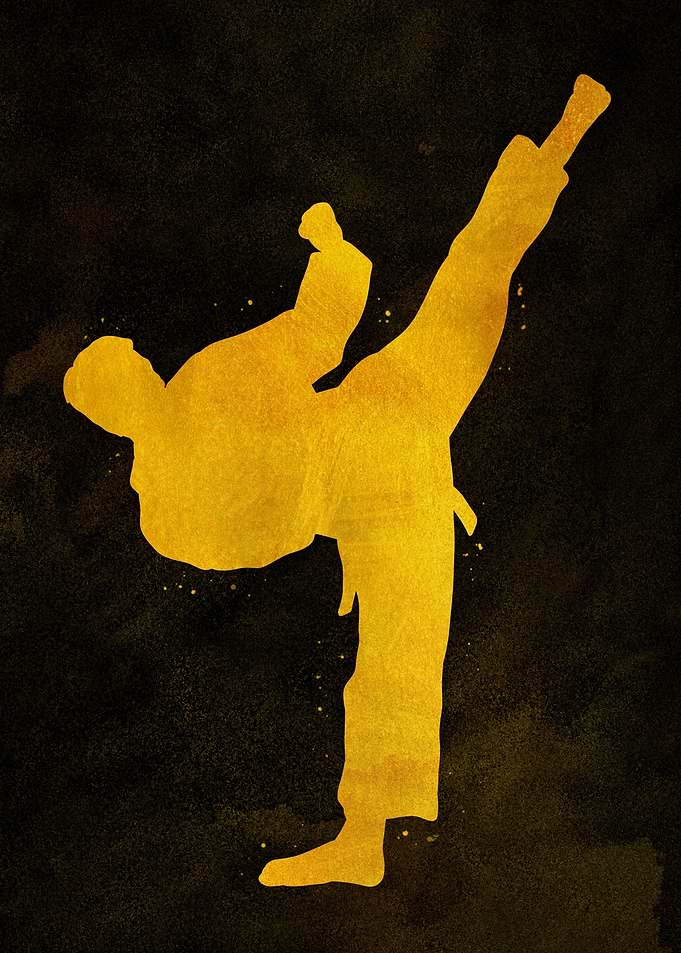 Taekwondo Karate Kick