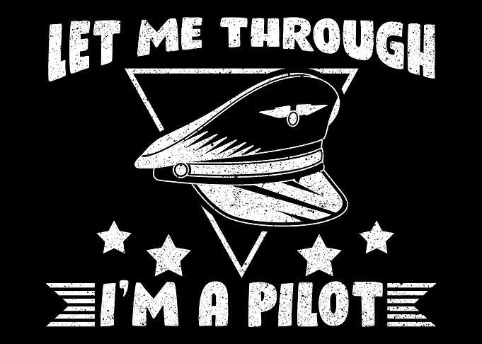 Airplane Pilot Aviation