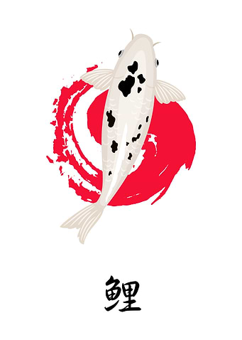 White and Black Koi Fish