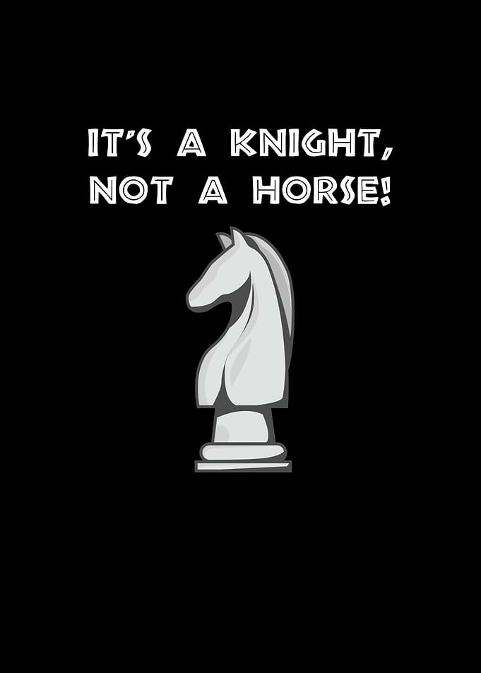 A KNIGHT NOT A HORSE CHESS