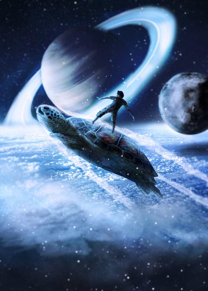 Flying Turtle