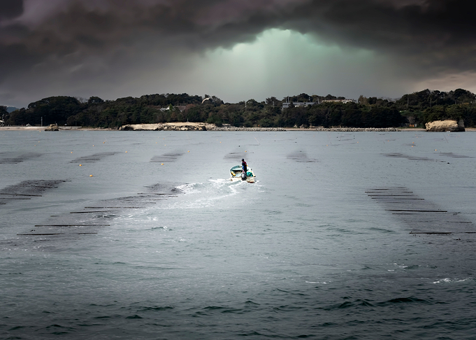 Returning fishermen