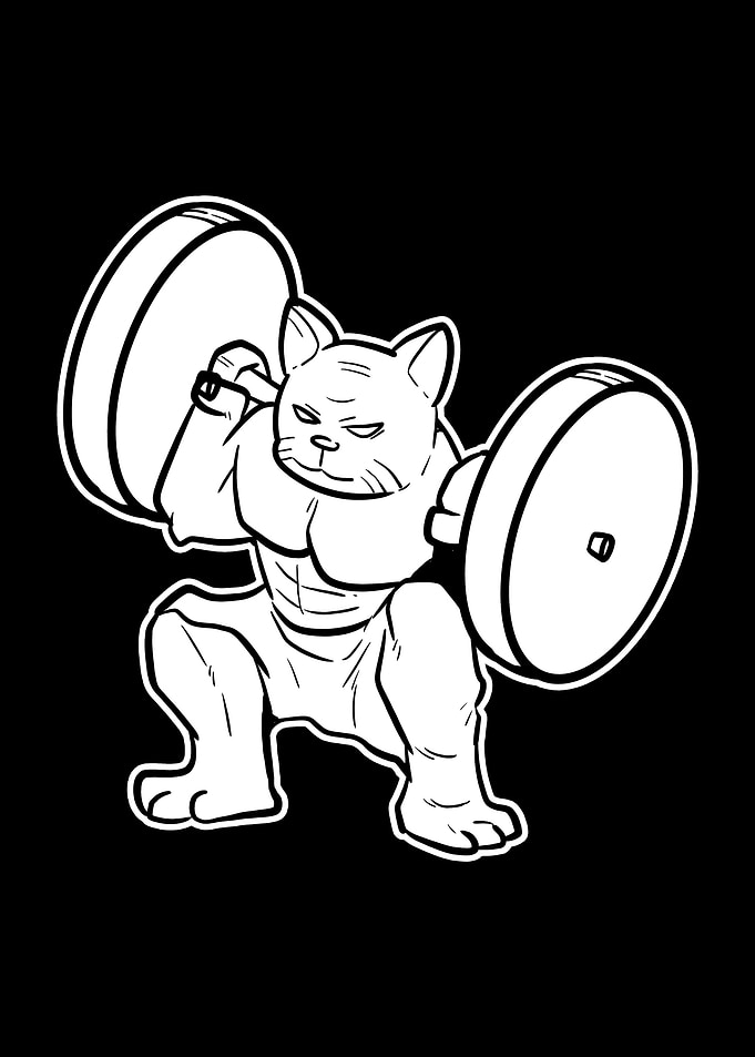Weightlifting Cat