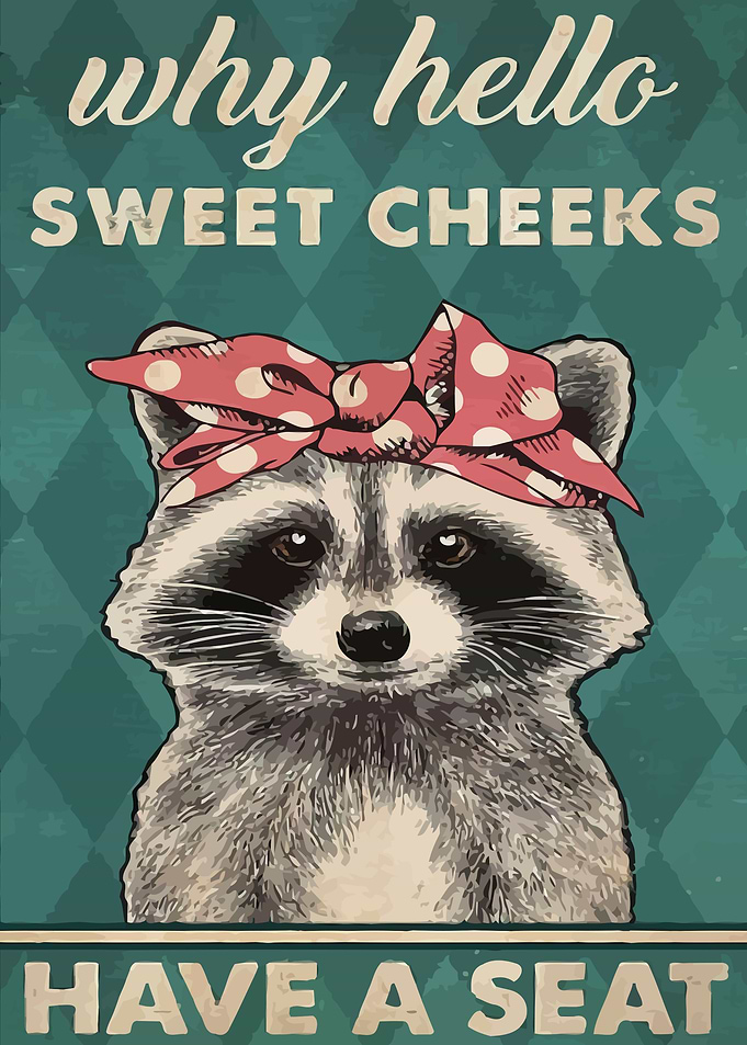 Raccoon funny