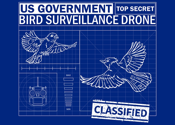 Bird Drone