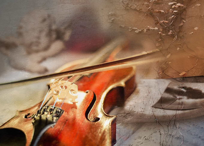 Violin 8