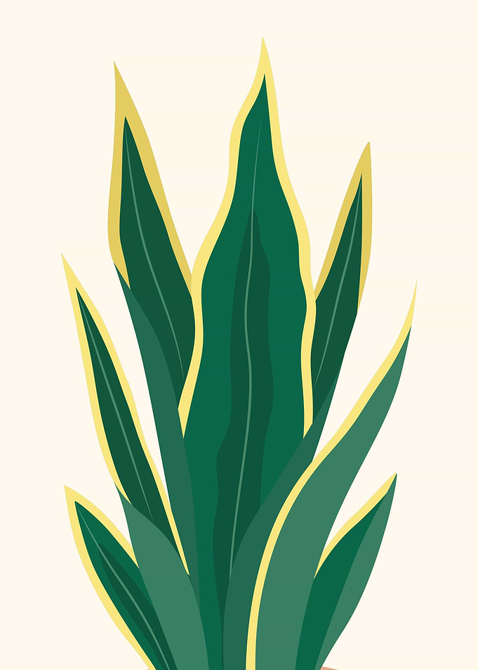 Botanical