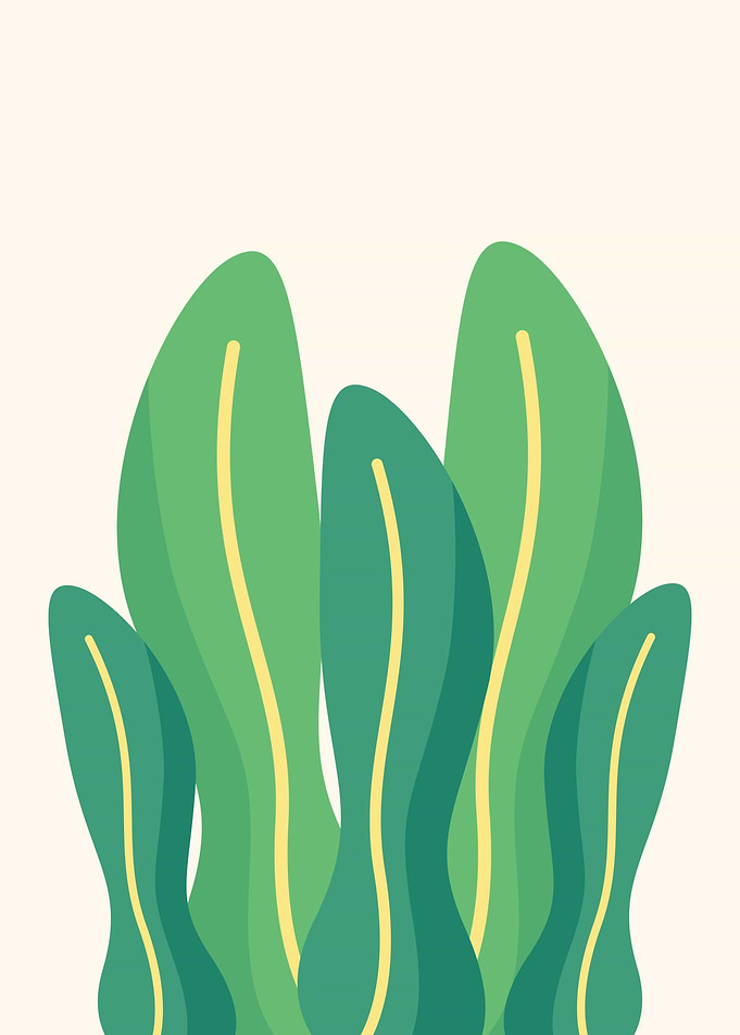 Botanical