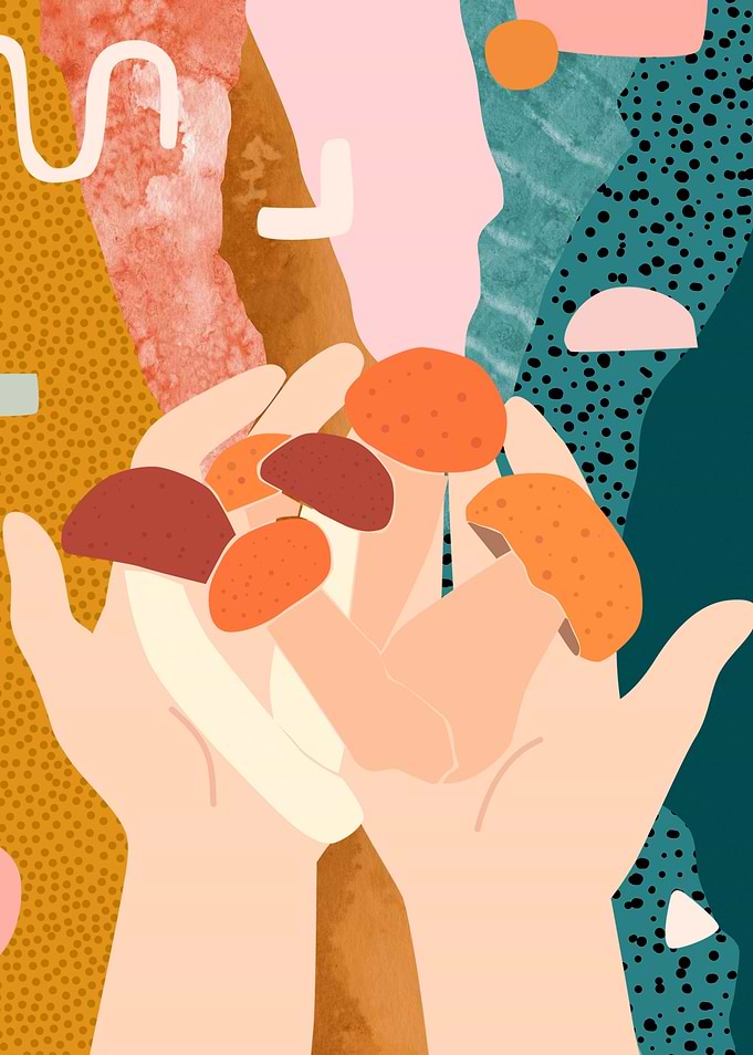Collecting mushrooms