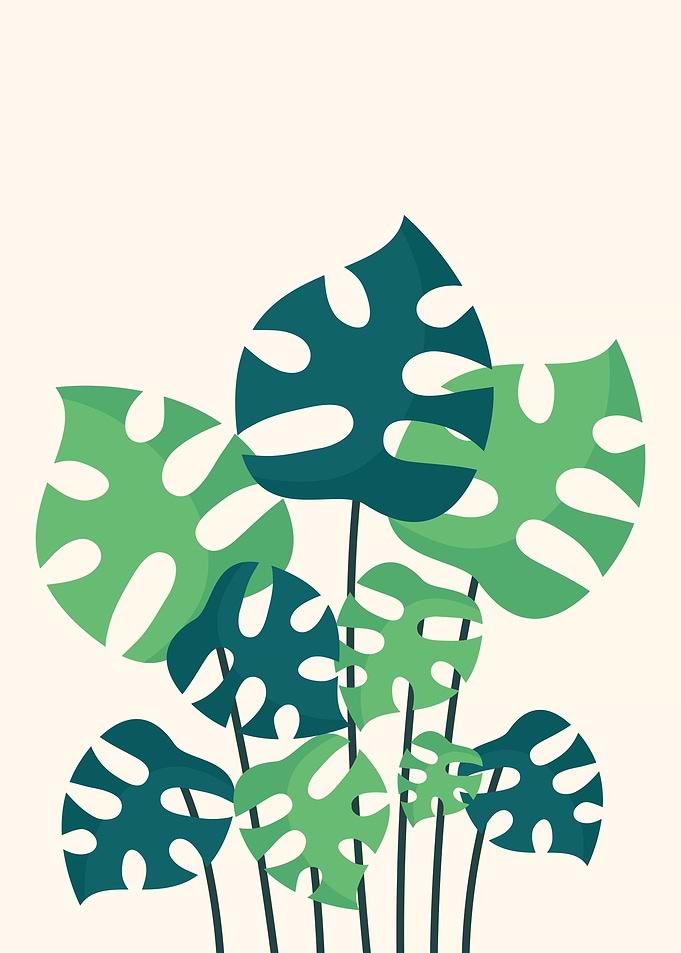 Botanical