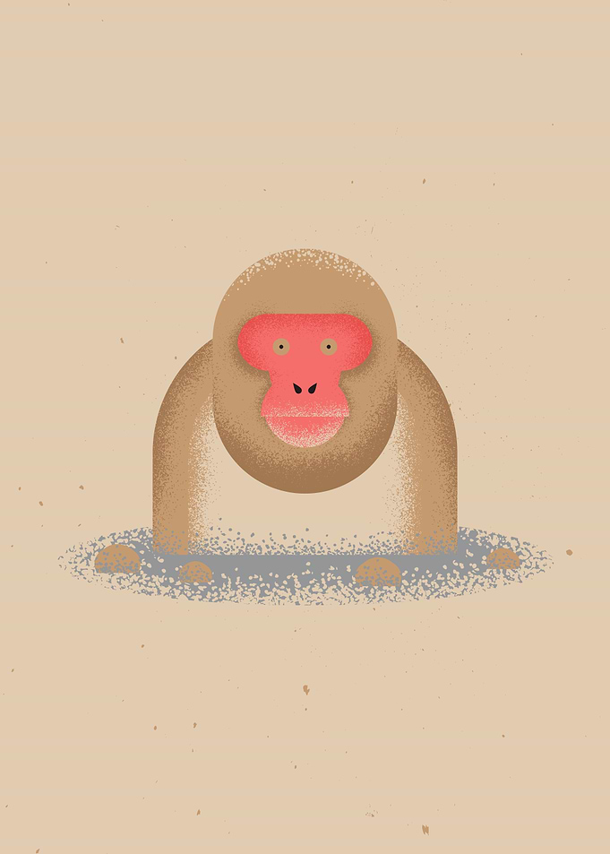 Snow Monkey