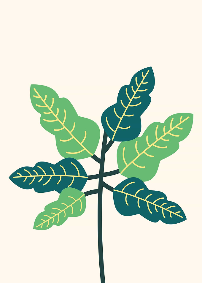 Botanical