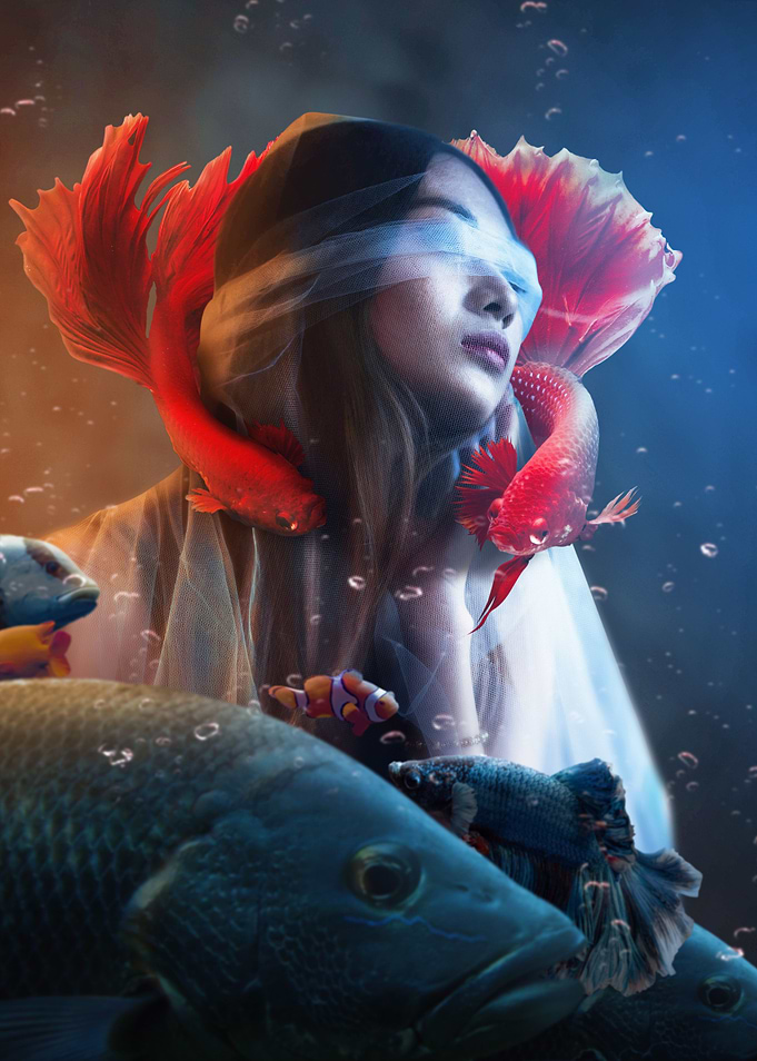 Betta Fish World