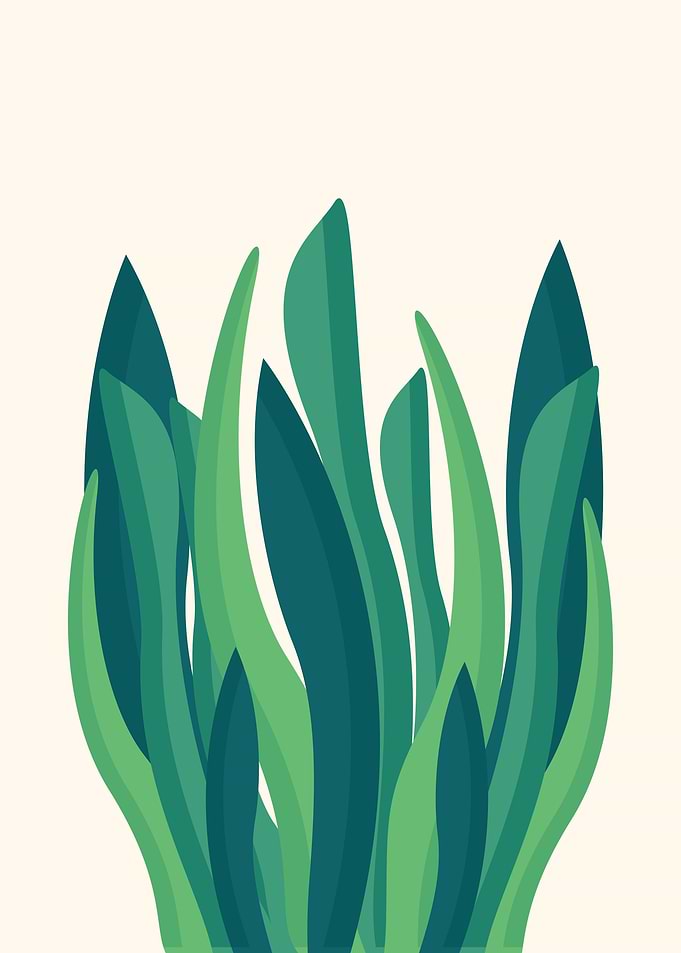 Leaf