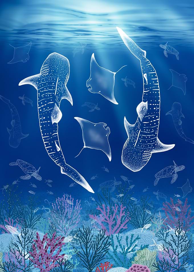 Friends of Ningaloo