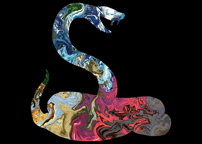 The Snake