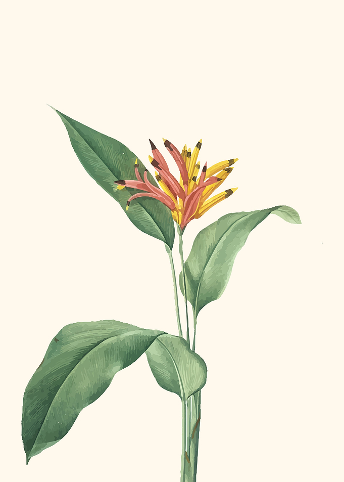 Leaf