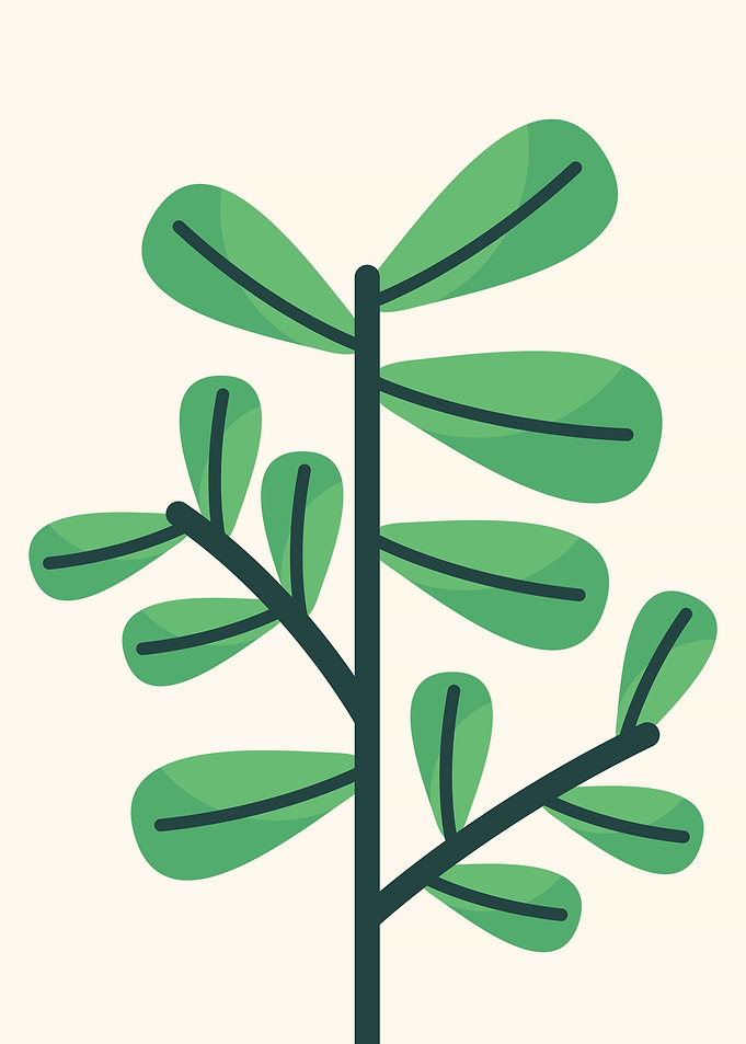 Leaf